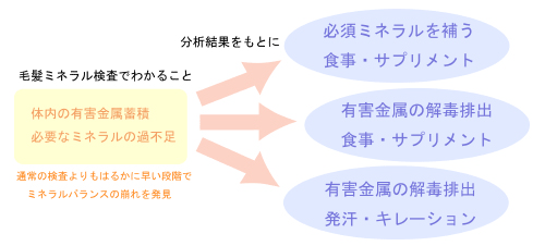 毛髪ミネラル検査からわかること